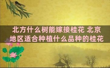 北方什么树能嫁接桂花 北京地区适合种植什么品种的桂花
